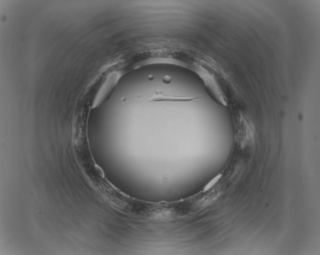 X0000066120456200603101240