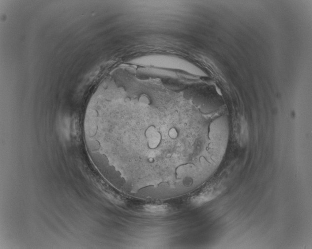 X0000066120457200603101240