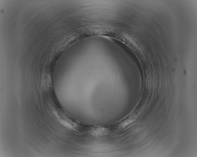 X0000066120459200603101240