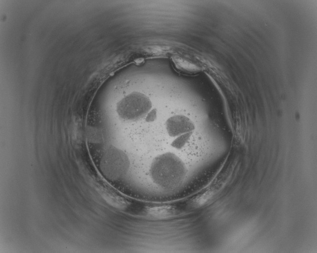 X0000066120461200603101240