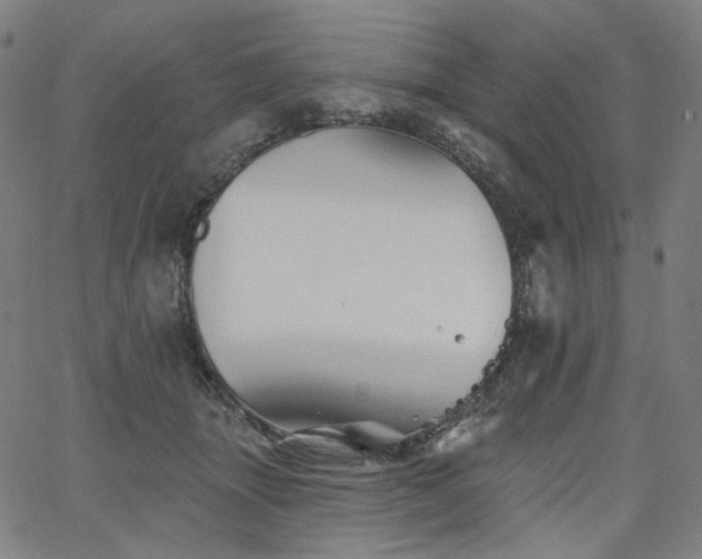 X0000066120463200603101240