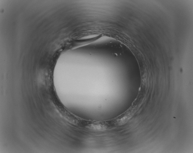 X0000066120464200603101240