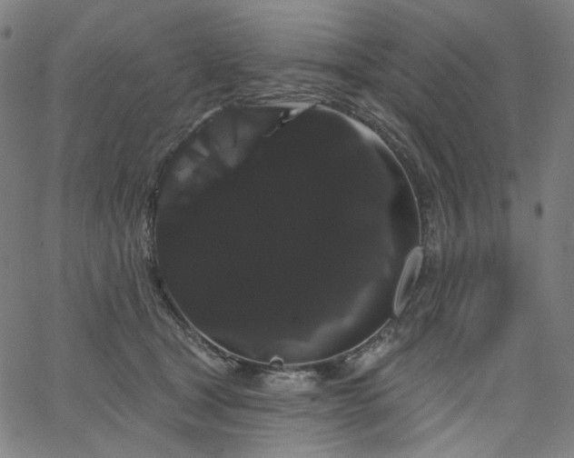 X0000066120465200603101240