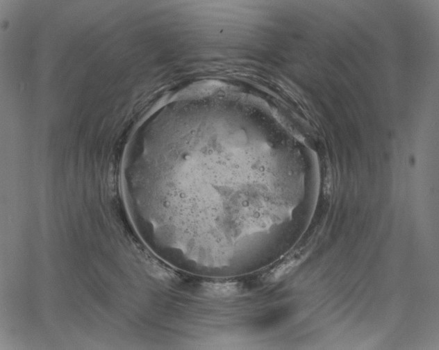 X0000066120469200603101240