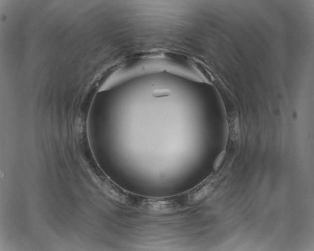 X0000066120472200603101240