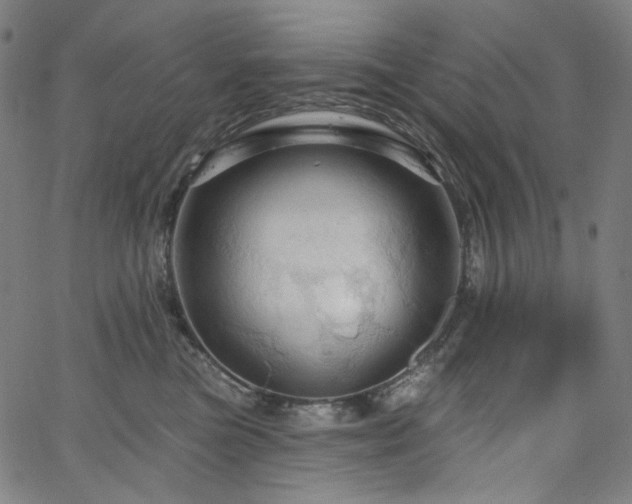 X0000066120473200603101240