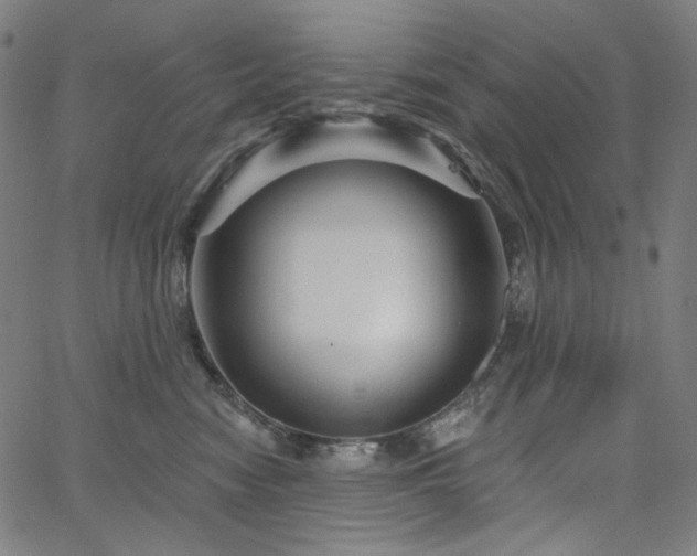 X0000066120474200603101240