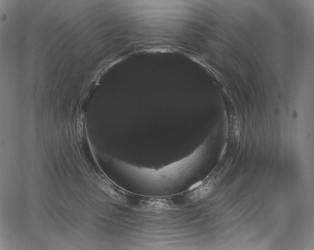 X0000066120475200603101240