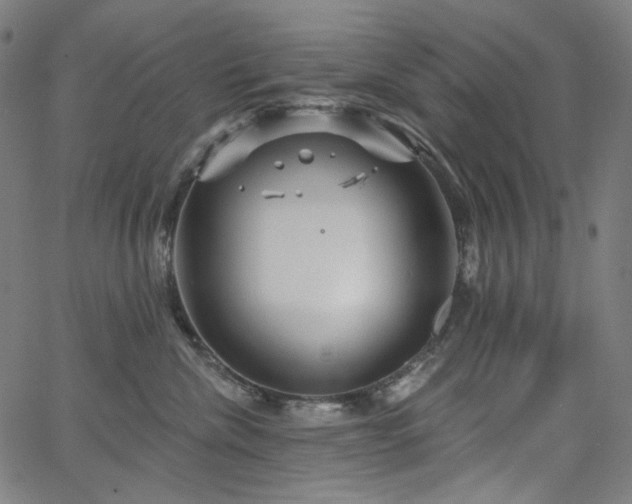 X0000066120476200603101240