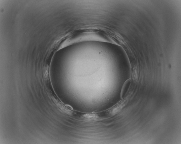 X0000066120477200603101240