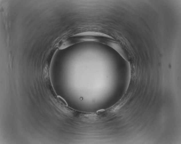 X0000066120478200603101240