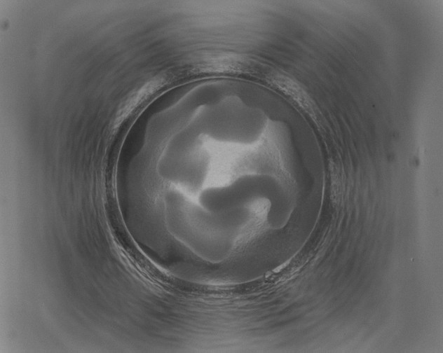 X0000066120482200603101239