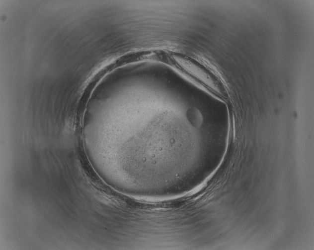 X0000066120483200603101239