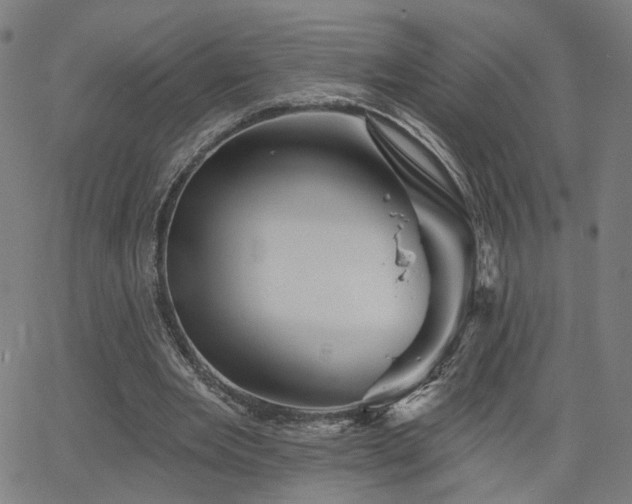 X0000066120485200603101239