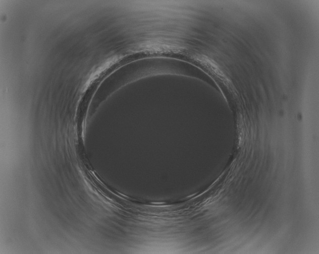 X0000066120488200603101239