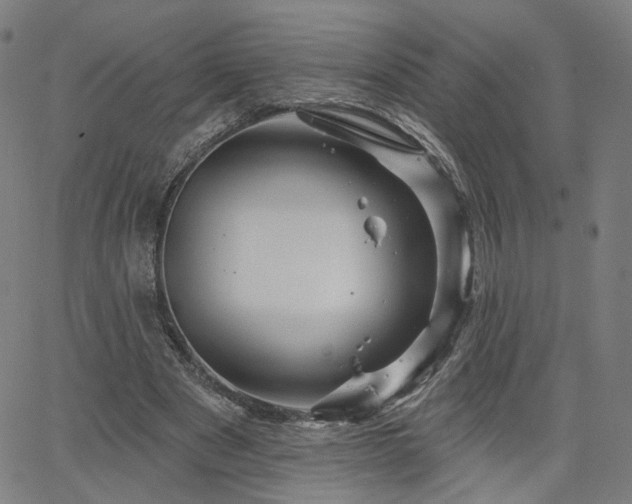 X0000066120489200603101239