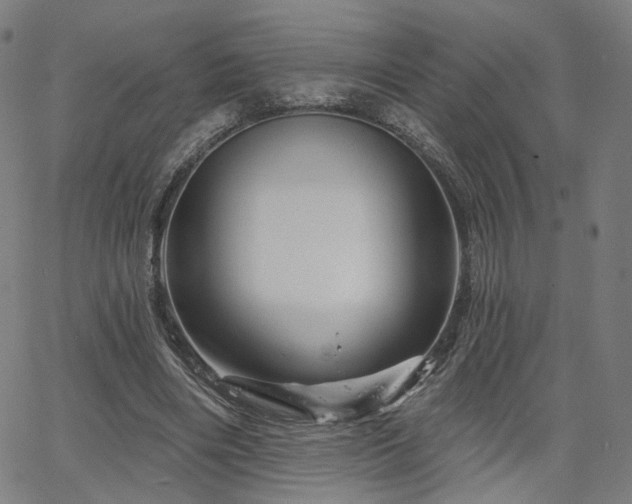 X0000066120490200603101239