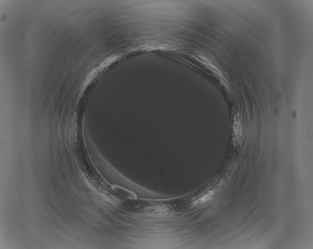 X0000066120492200603101239