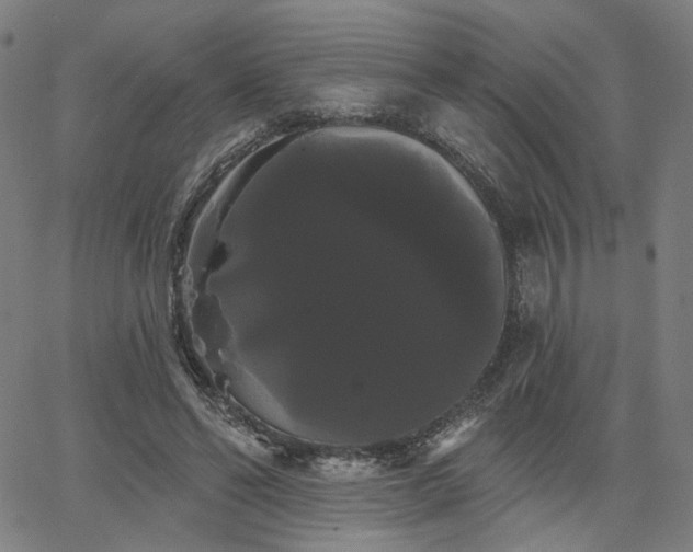 X0000066120494200603101239