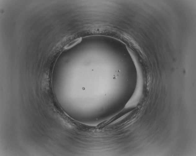 X0000066120497200603101239