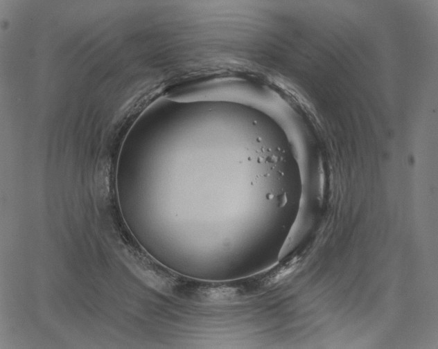 X0000066120501200603101239