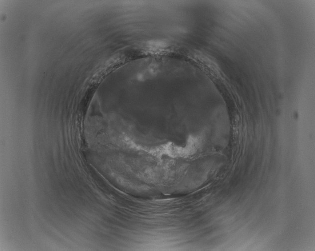 X0000066120503200603101239