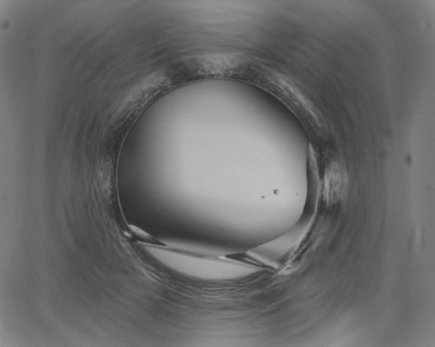 X0000066120505200603101239