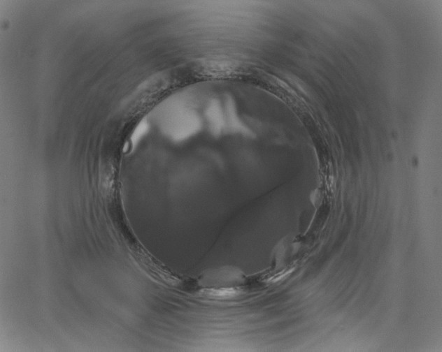 X0000066120507200603101239