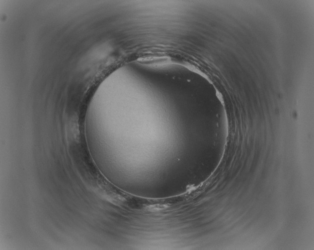 X0000066120508200603101239