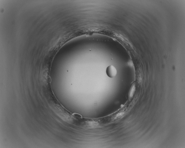 X0000066120509200603101239