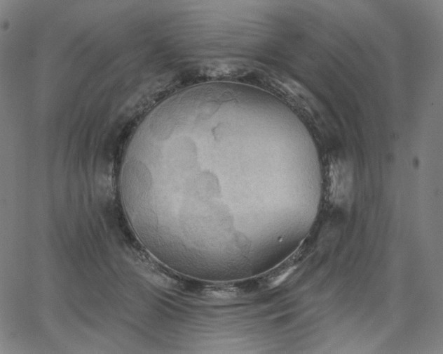 X0000066120510200603101239