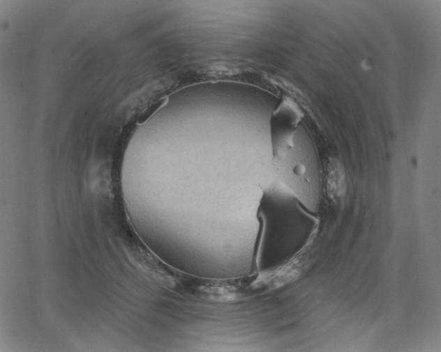 X0000066120512200603101239