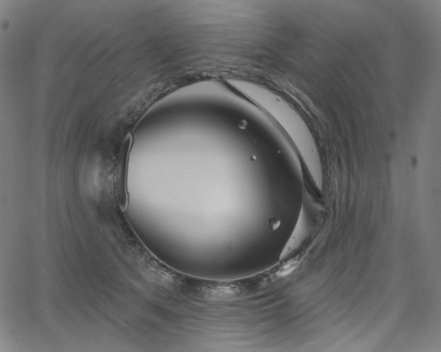 X0000066120513200603101239