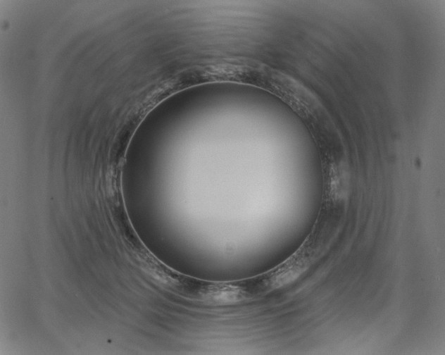 X0000066120514200603101239