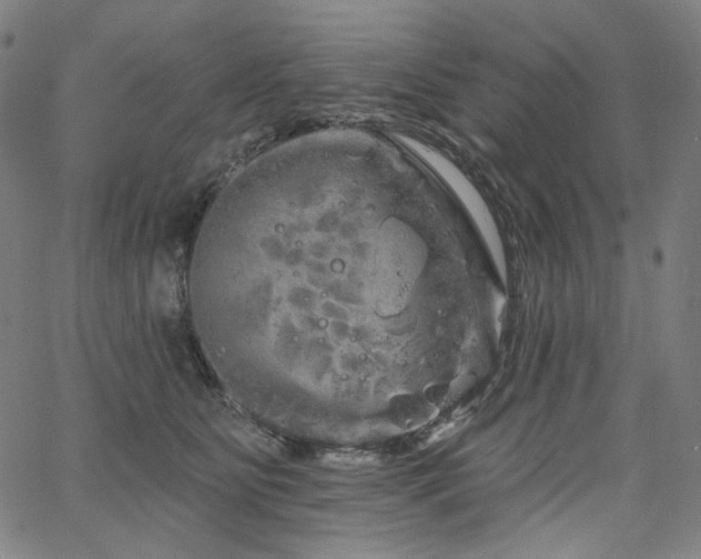 X0000066120515200603101239