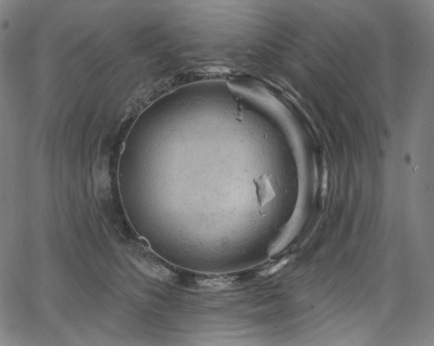 X0000066120516200603101239