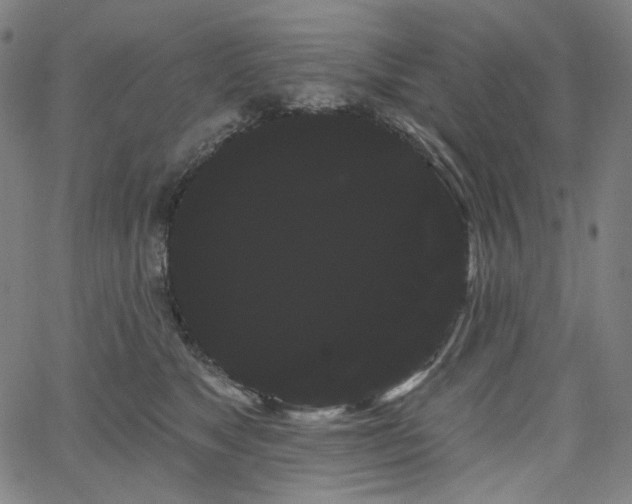 X0000066120517200603101239