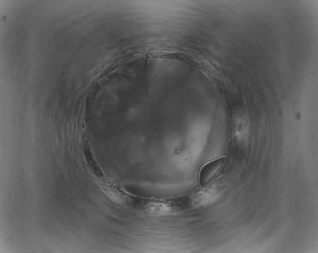 X0000066120519200603101239