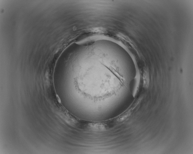 X0000066120520200603101239