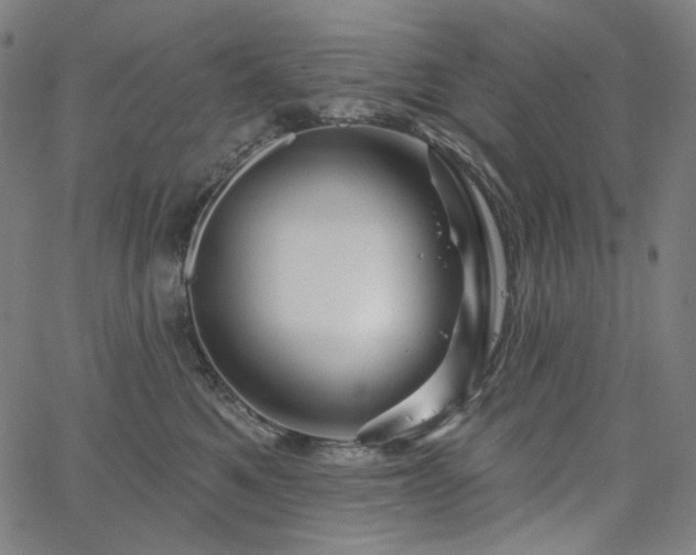 X0000066120521200603101239