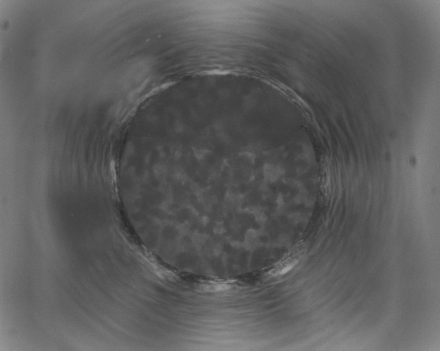 X0000066120523200603101238