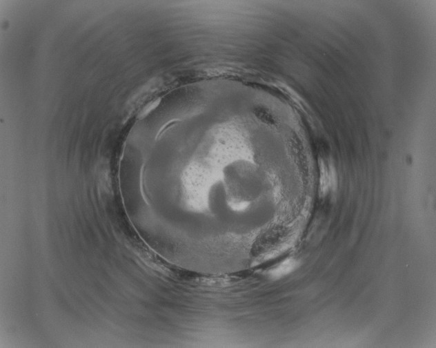 X0000066120524200603101238