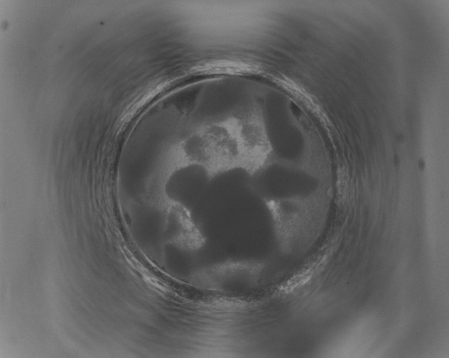 X0000066120529200603101238