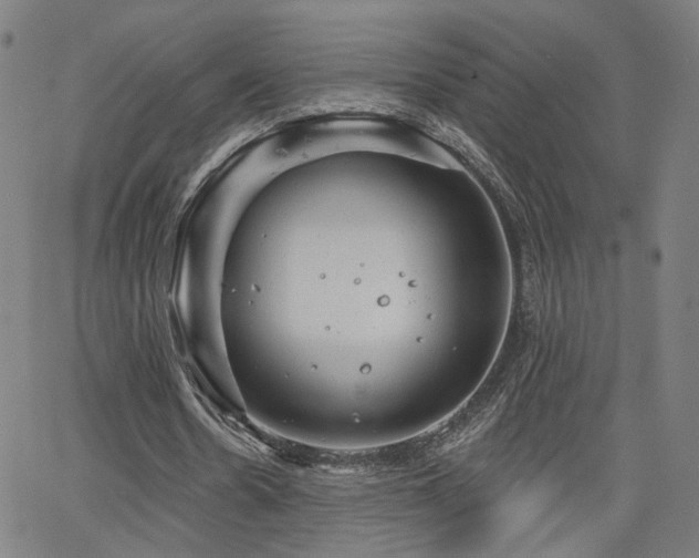 X0000066120530200603101238