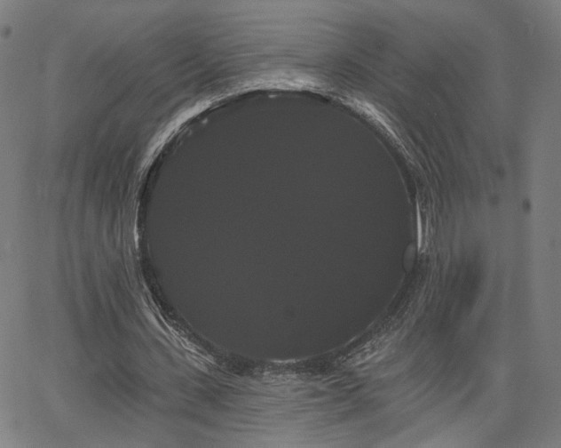 X0000066120531200603101238