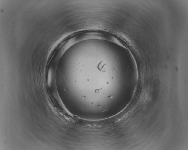 X0000066120532200603101238