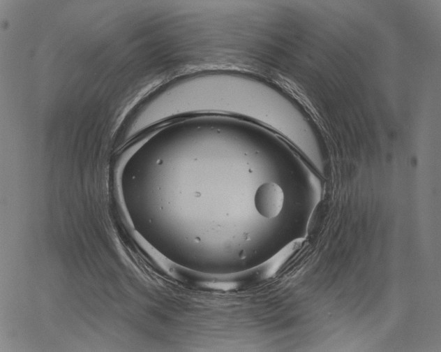 X0000066120534200603101238