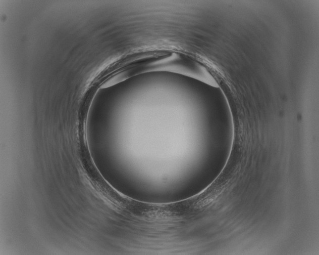 X0000066120535200603101238