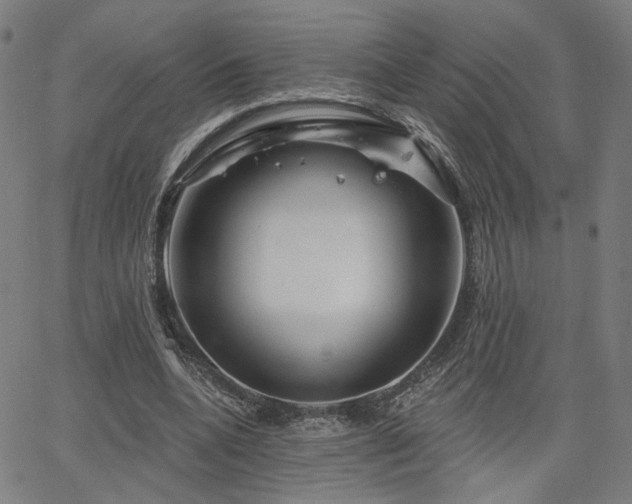 X0000066120536200603101238