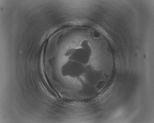 X0000066120537200603101238